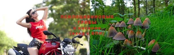 марихуана Кодинск