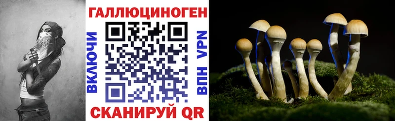 Купить где  Партизанск  Псилоцибиновые грибы Magic Shrooms 